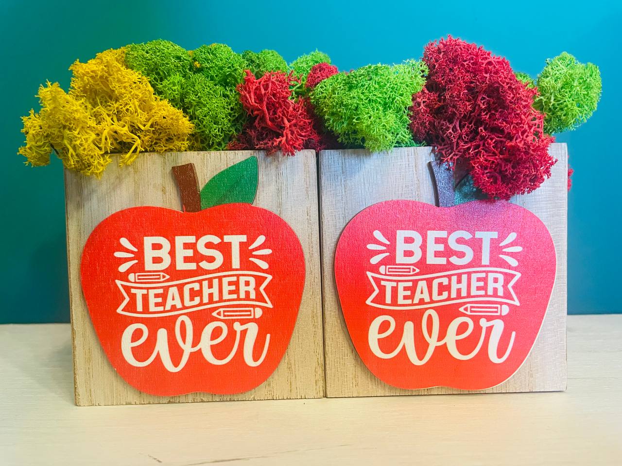 Признателност в кашпа: "Best Teacher Ever" със свеж скандинавски мъх