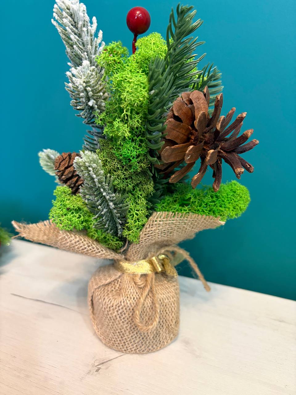 photo_2025-12-08_16-28-17