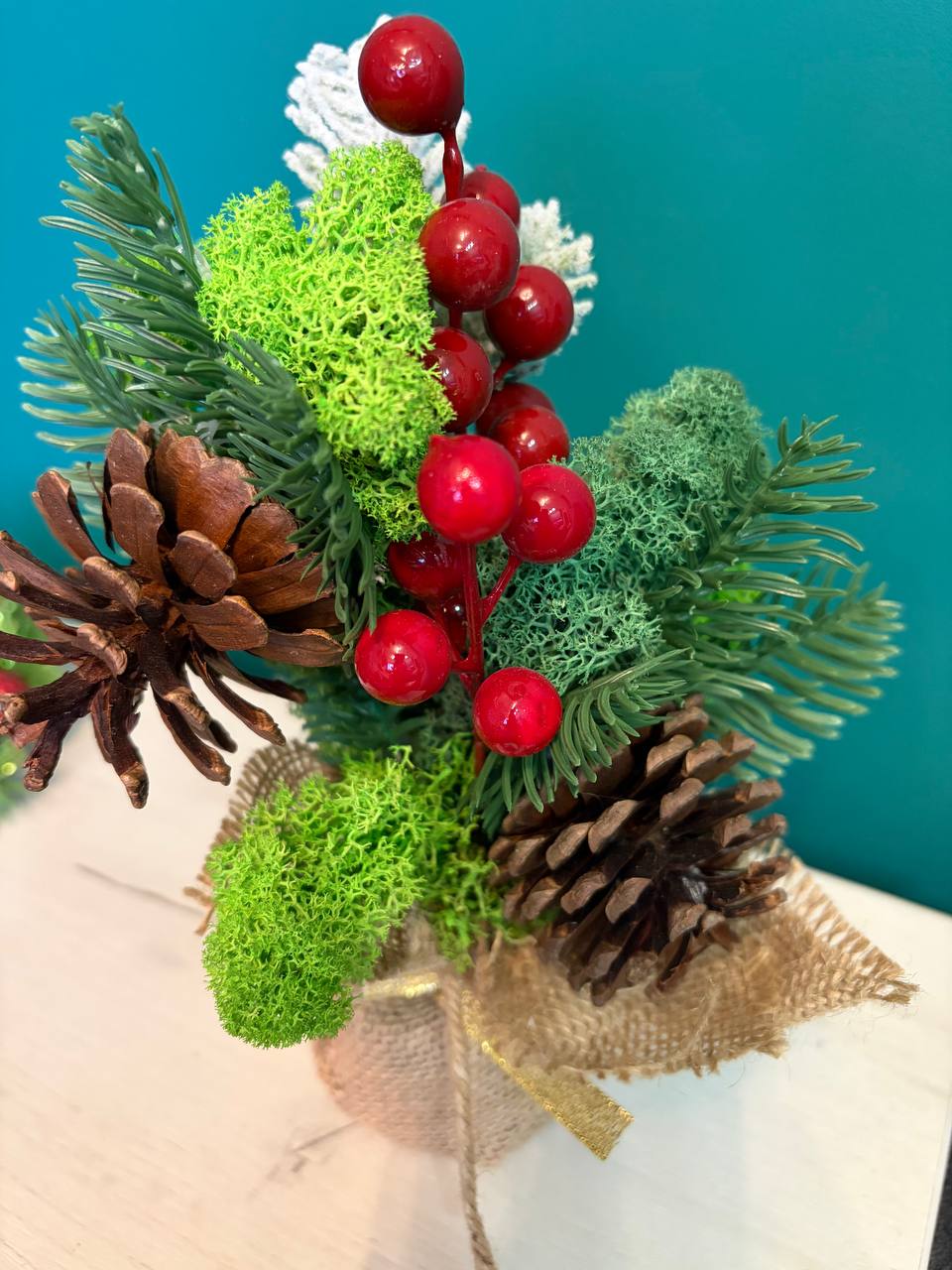 photo_2025-12-08_16-28-18