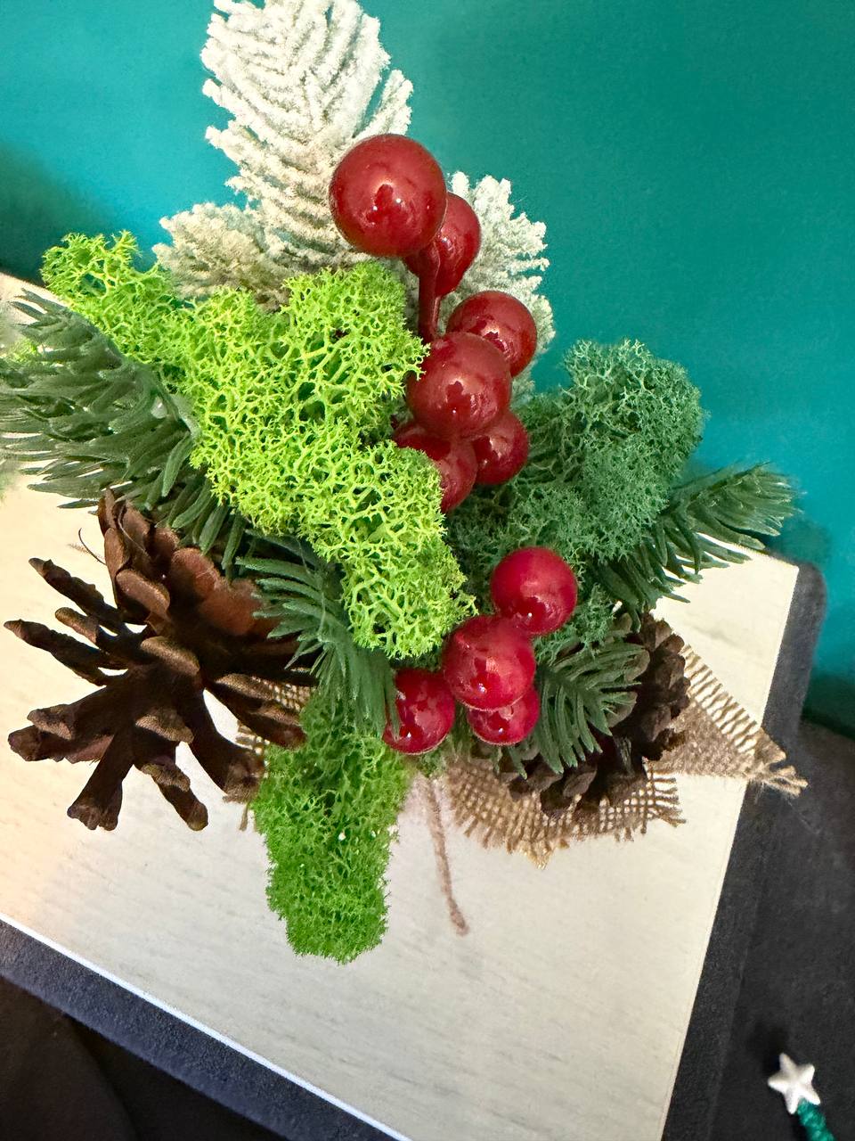 photo_2025-12-08_16-28-19