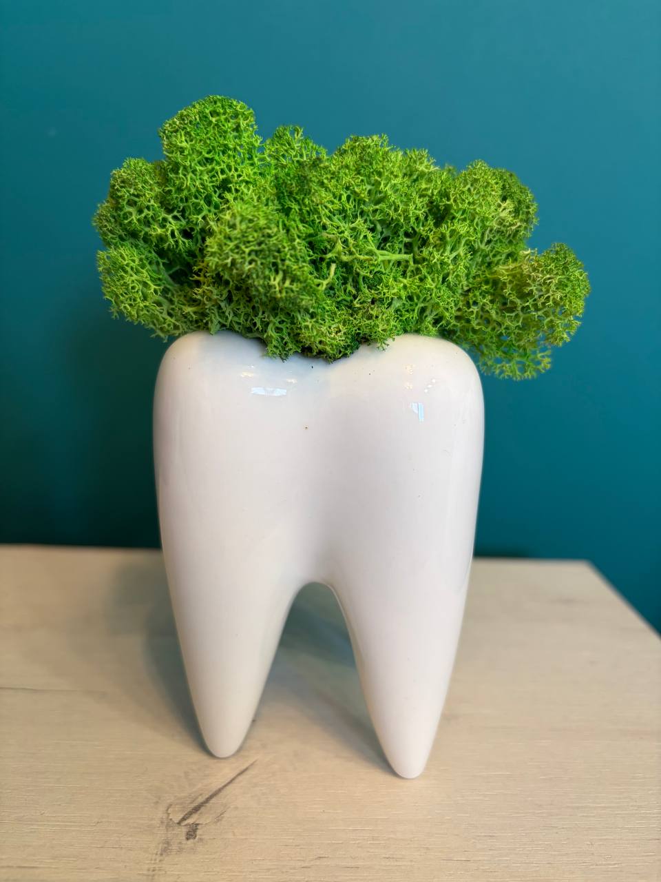 Бяла керамична декорация зъб с естествен мъх за дентален кабинет.